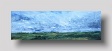 summer near catterline  oil on canvas  21 x 61cm